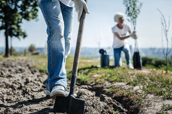 In the garden. Nice pleasant strong man holding a spade and digging in the garden while planting a tree