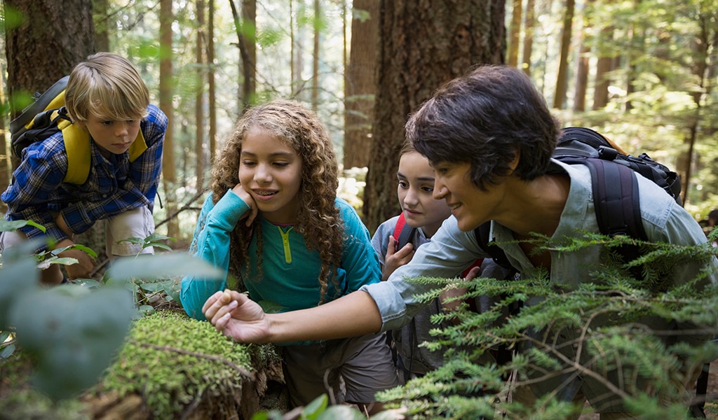 Teacher and students studying the forest