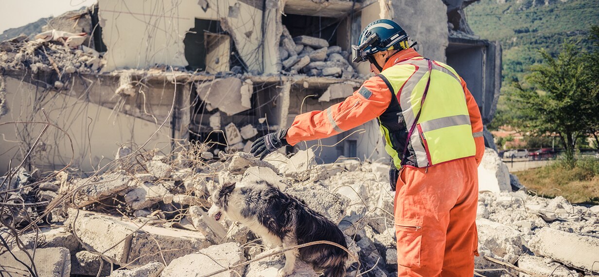 Photo of a rescue worker and a dog looking through rubble after an earthquake