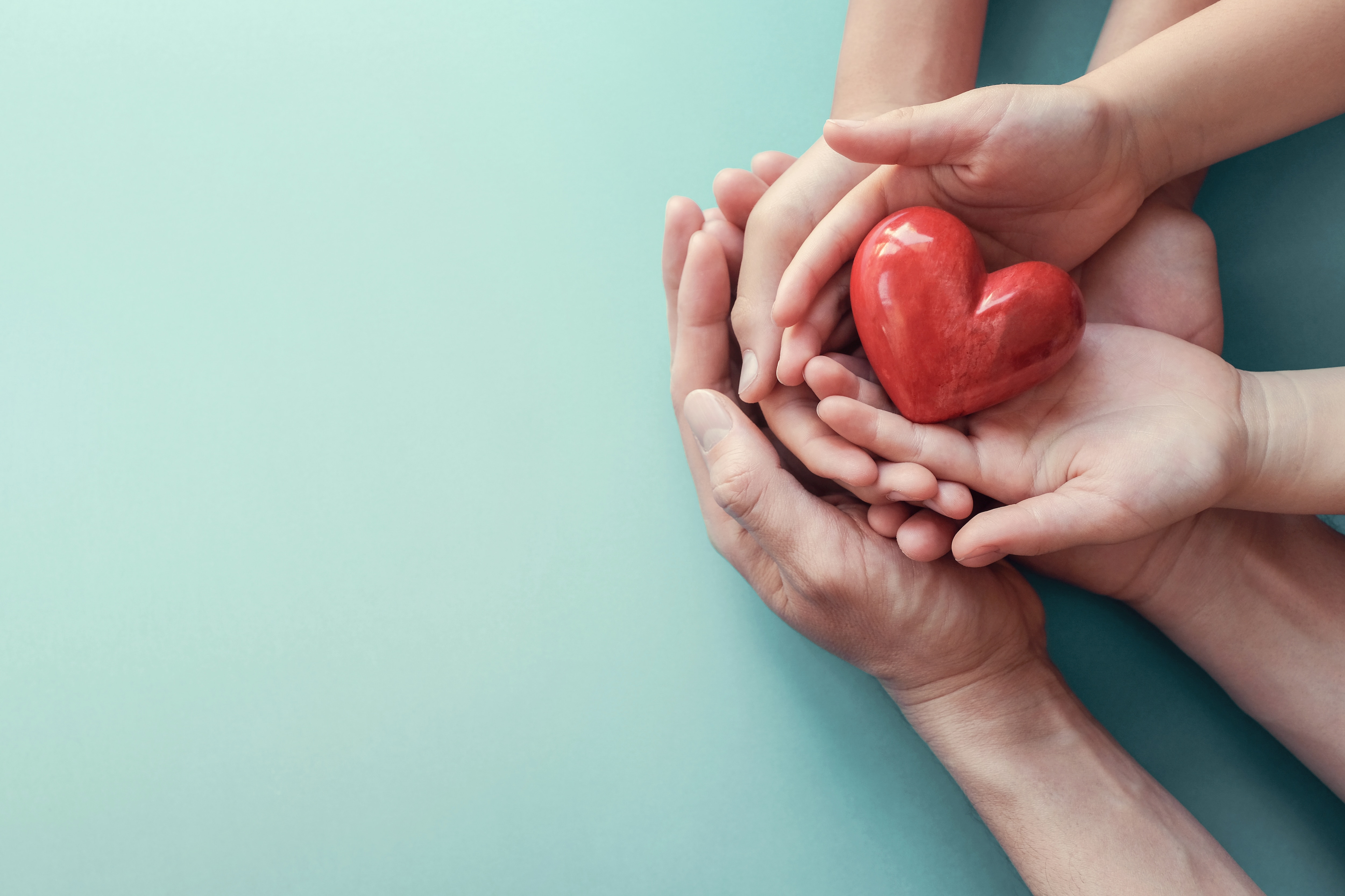 multiple hands holding a heart