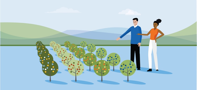 landscape, mountains, grass, field, woman, african american, donor, appreciated assets, options, choices, stocks, man, advisor, plants, growth, trees